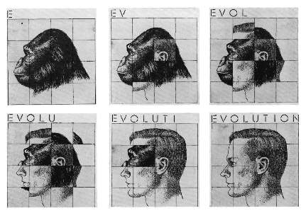 Evolution and the Capacity for Commitment (Russell Sage Foundation