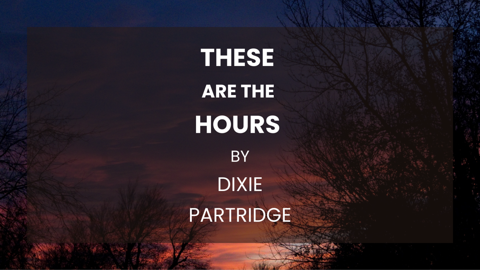 These Are the Hours Dialogue Journal